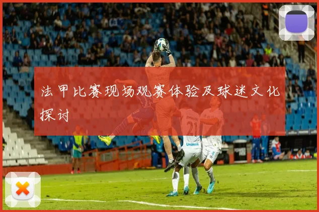 法甲比赛现场观赛体验及球迷文化探讨